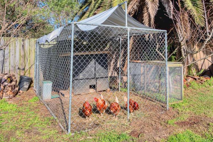 48 Marshall Road Kaiwaka_22