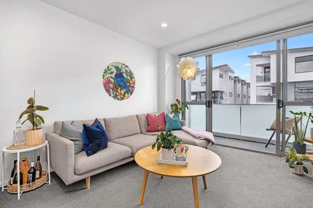PJ/17 Blake Street Ponsonby_2