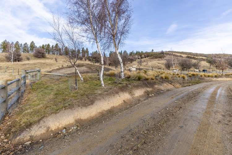 31 Cambrian Settlement Road St Bathans_9