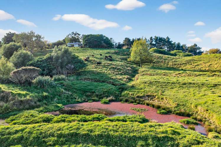 311 Franklin Road Paparoa_42