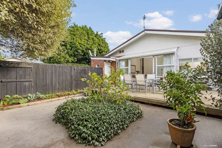 14a Rosedale Avenue Mount Eden_10