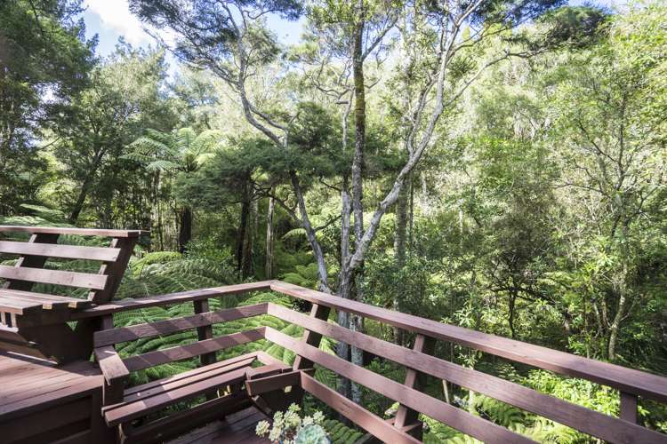 37 Homewood Place Chatswood_20