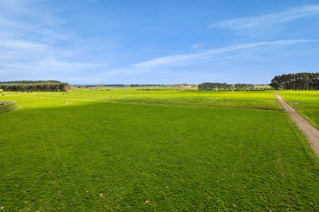 577 Patiki Road Pihama_4