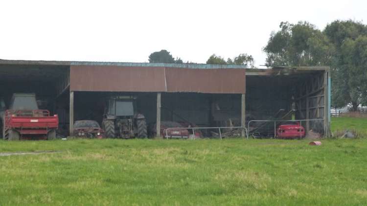 44 Rodgers Road Catlins Surrounds_32