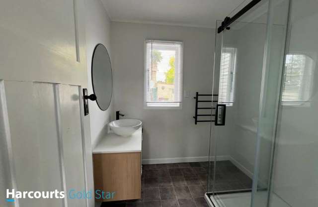 65 Willoughby Street Paeroa_1