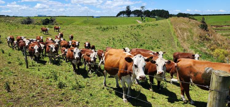 5 Kakaramea Road Patea_5