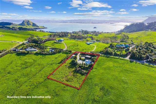 18 Basil Road Whangarei Heads_1