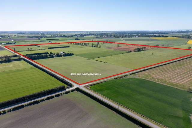 1033 Boundary Road Ashburton_3