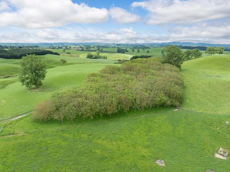 196 Waimanu Road Pukeatua_21