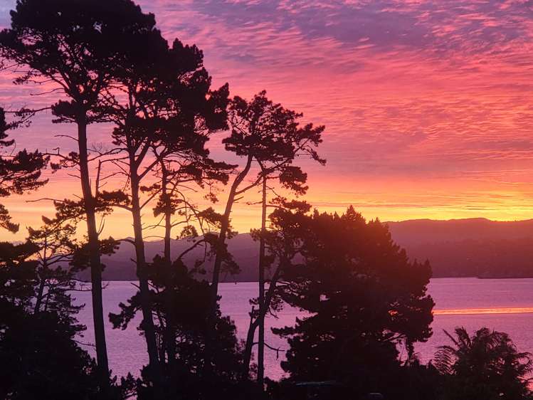 75 Halsey Drive Lynfield_32