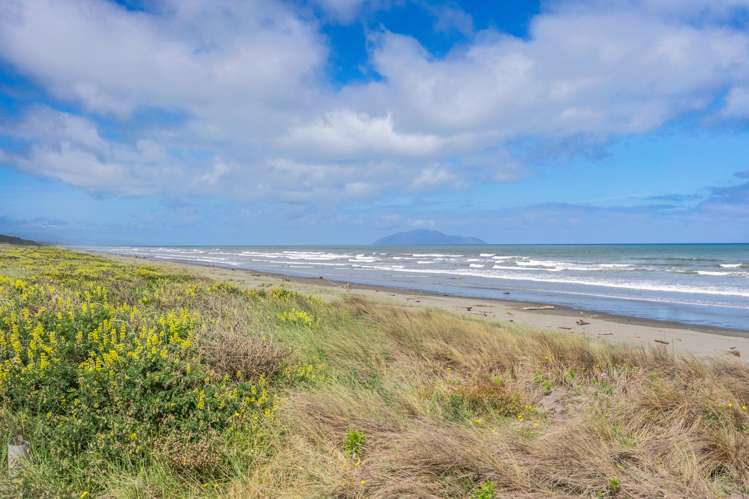 32 Reay Mackay Grove Waikawa Beach_25