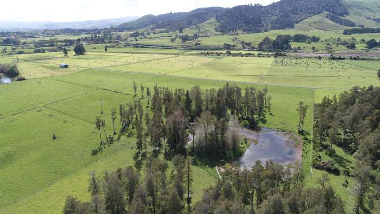 5885 State Highway 26 Te Aroha_2