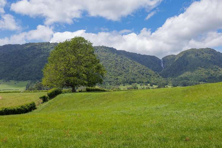 1387 Old Te Aroha Road, Okauia Matamata_10