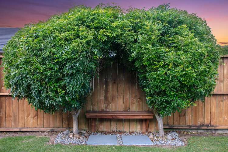 5 Layla Place Katikati_22