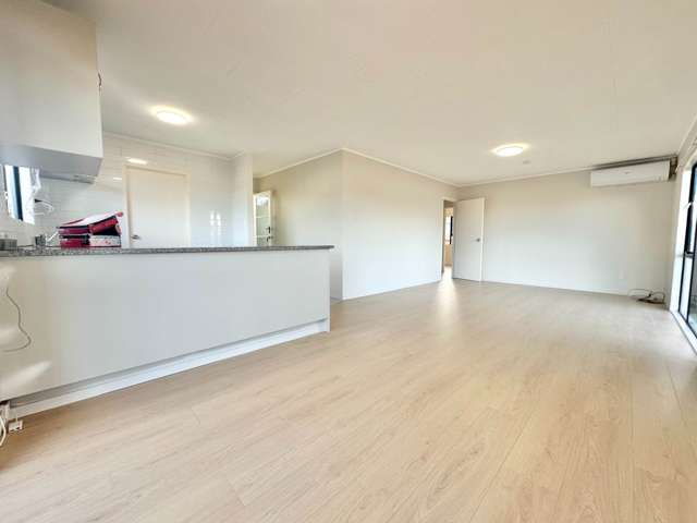 9A Halleys Place Mt Roskill_2