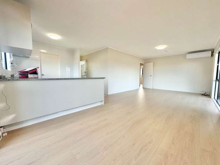 9A Halleys Place Mt Roskill_2