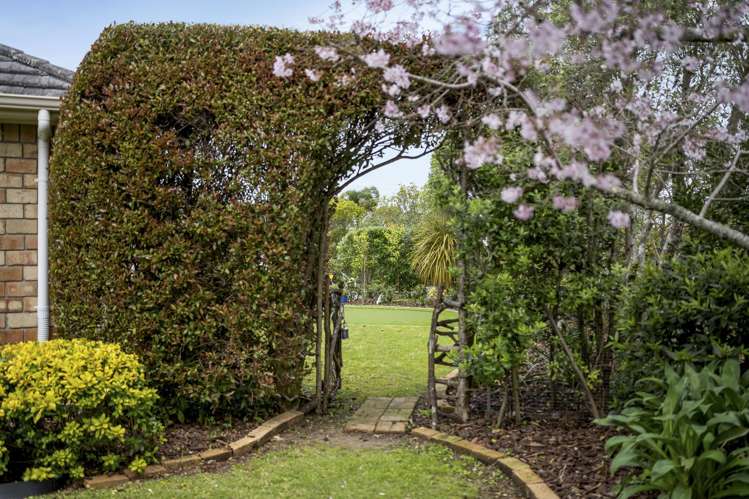 12 San Jose Rise Shamrock Park_34