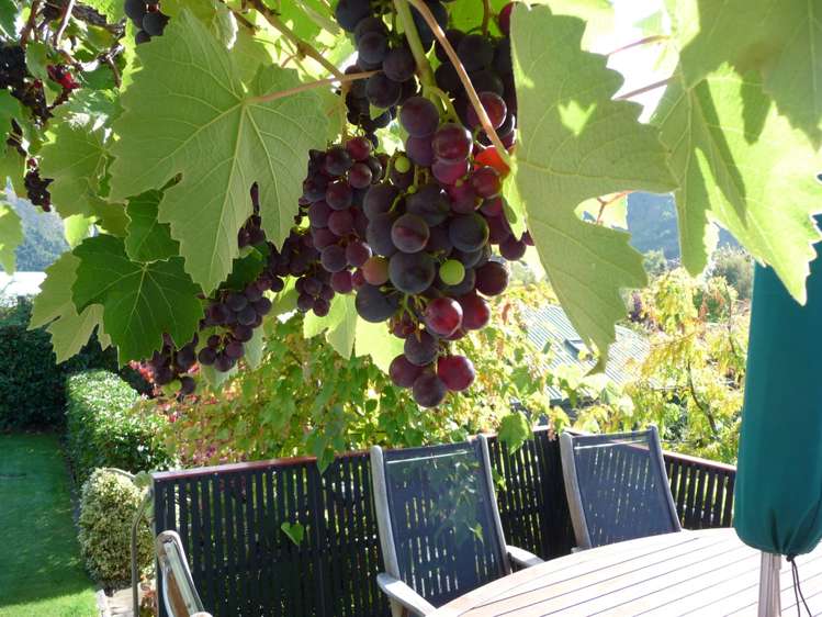 20 Hood Crescent Arrowtown_17