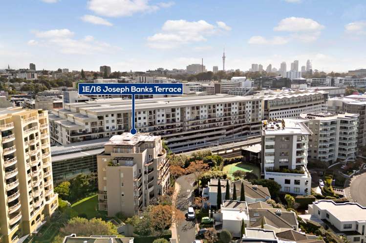 1E/18 Joseph Banks Terrace Remuera_24