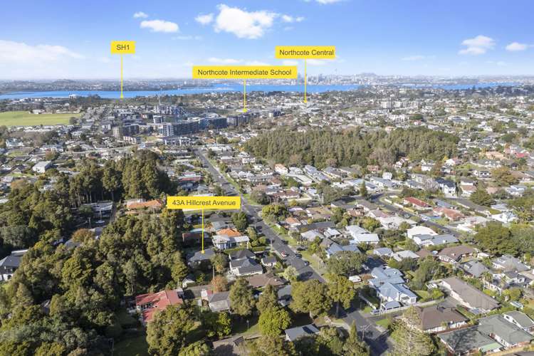 43a Hillcrest Avenue Hillcrest_31