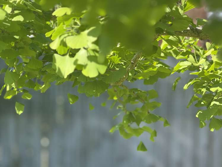 132 Waerenga Road Otaki_20