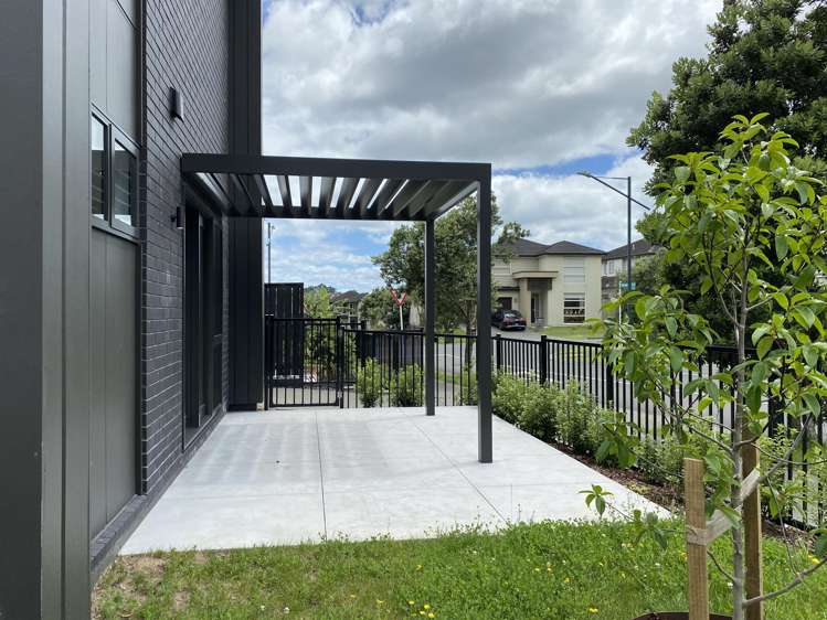 3 Hochstetter Stonefields_9