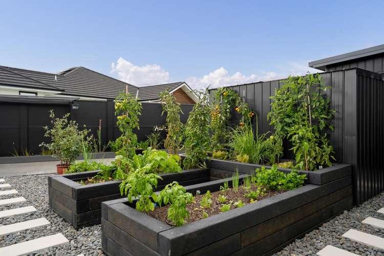 4 Moemoea Place Cambridge_30