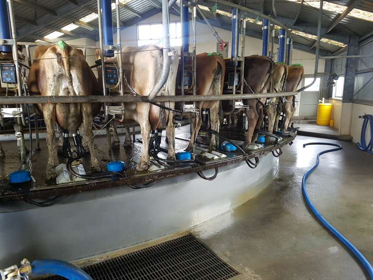 139 Bayly Road Warea_5