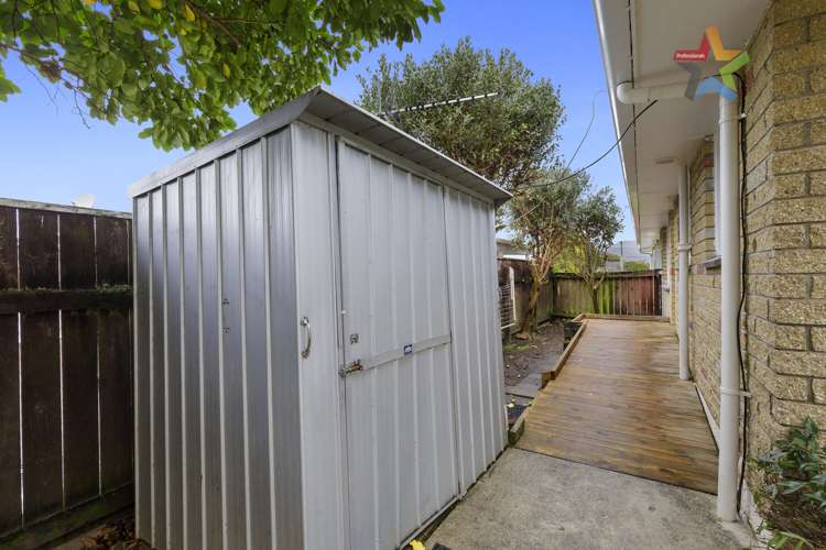 16 Cottle Street Avalon_16