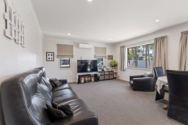 12a Guy Avenue Levin_7
