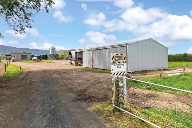 696a Tower Road Matamata_4