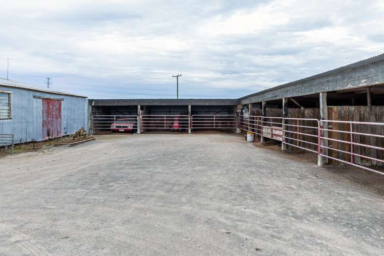 446 Grahams Road Willowby_23