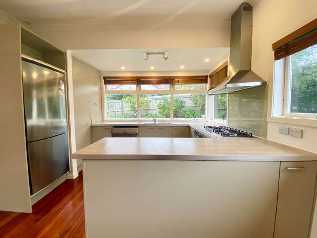 4 Moira Street Ponsonby_3
