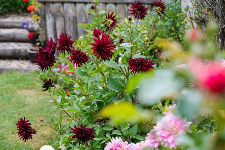 46a Kenmure Road Belleknowes_22