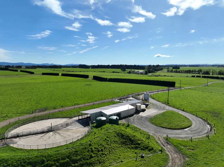 793 Edendale Woodlands Highway Winton Surrounds_3