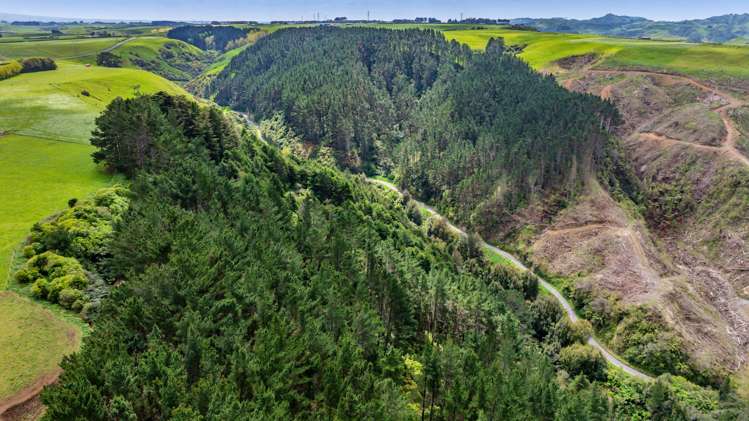 Lot 6 Tangahoe Valley Road Ohangai_10