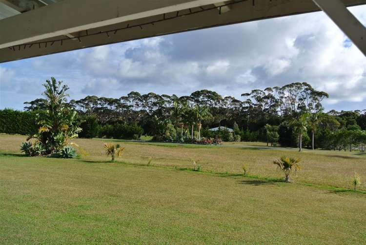 25 Wagener Grove Pukenui_4