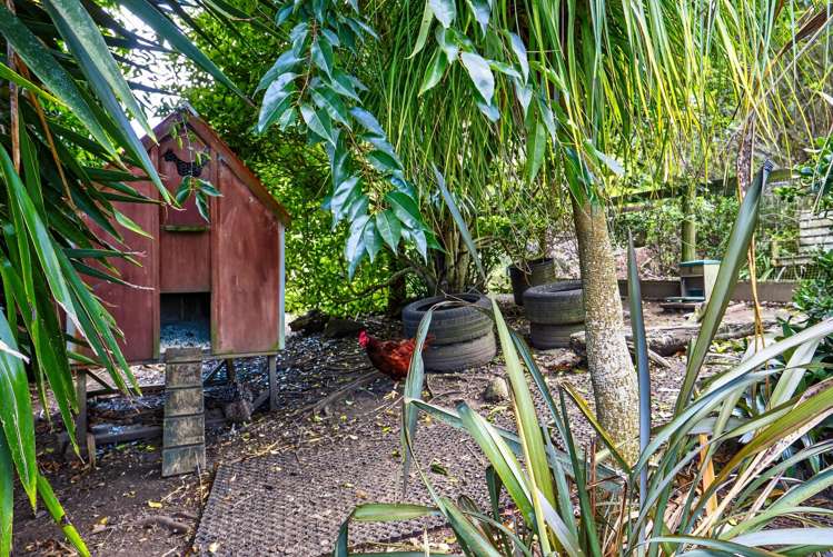 167 Wymer Road Glenbrook_25