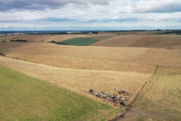 479 South Boundary Road Waitohi_6