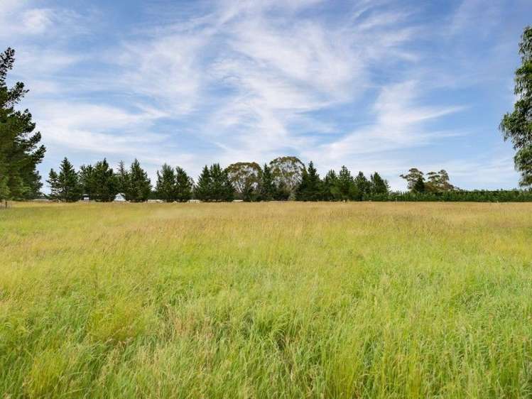 151 Woodfields Road Swannanoa_19