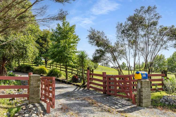 561 Settlement Road Kaiwaka_52