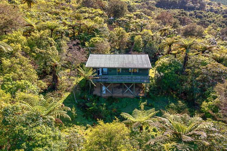 Nikau Bay Kenepuru Sound_6