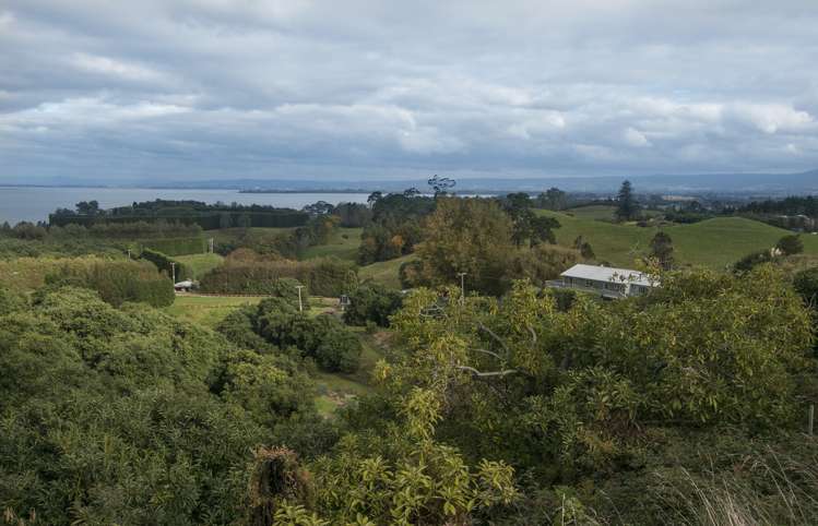 252a Kauri Point Road Hauraki Surrounds_10