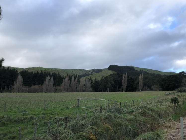 337 Saunders Road Eketahuna_14