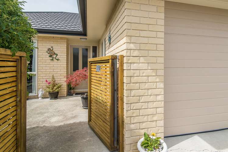 3a Gandalf Crescent Paraparaumu_0