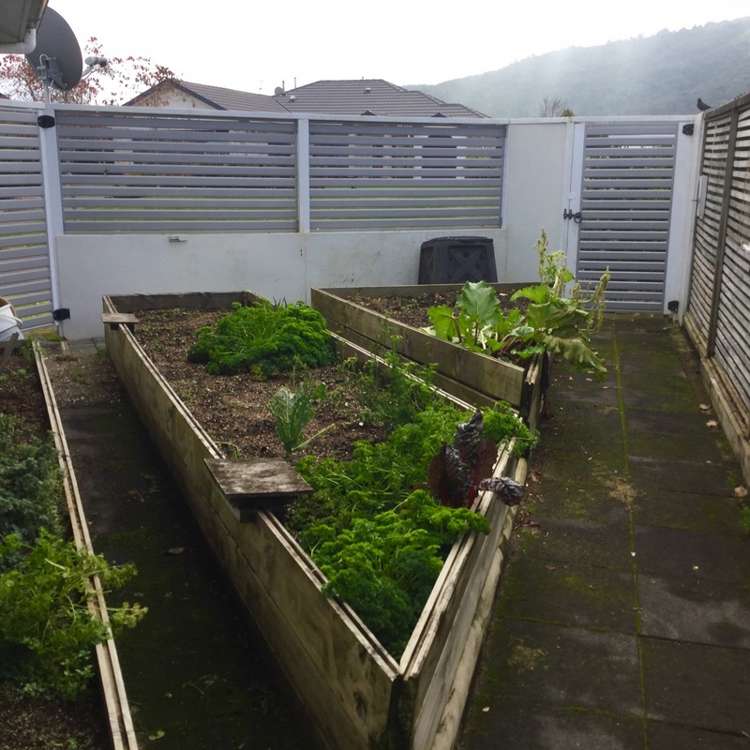 92 Rimuvale Street Pukehangi_11