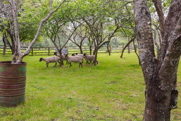 237 Taihoa South Road Matamata_28