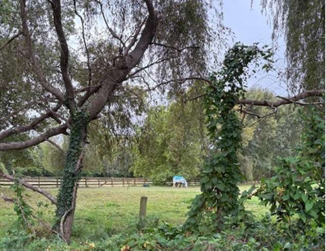 69 Tieko Street Otaihanga_3