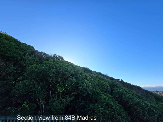 84A Madras Street Khandallah_4