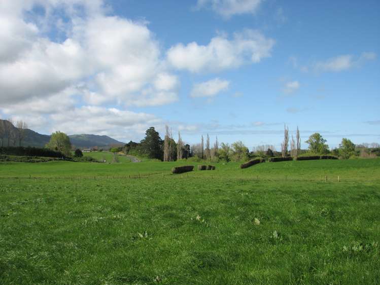 1387 Old Te Aroha Road Okauia MatamataPiako Rural Property For